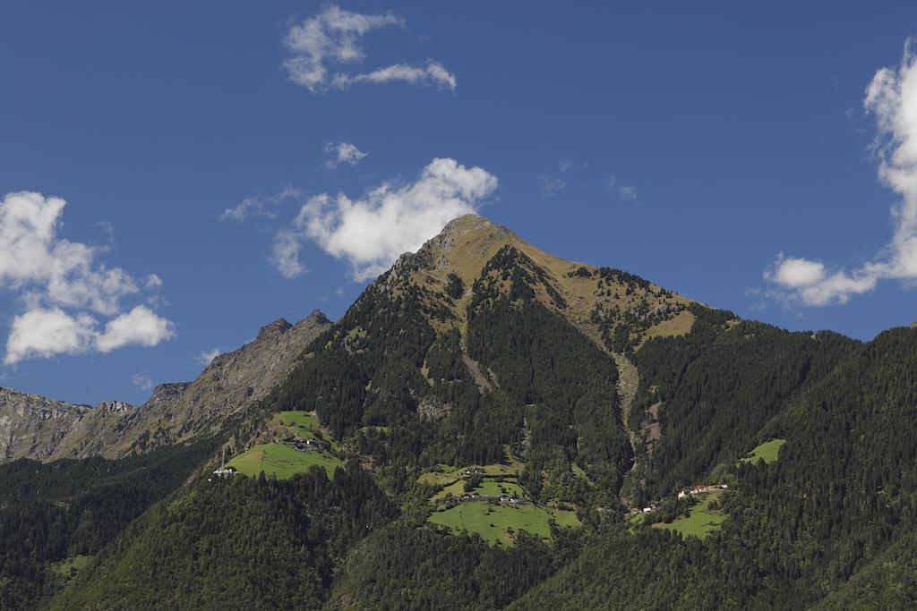 Garni Pircher